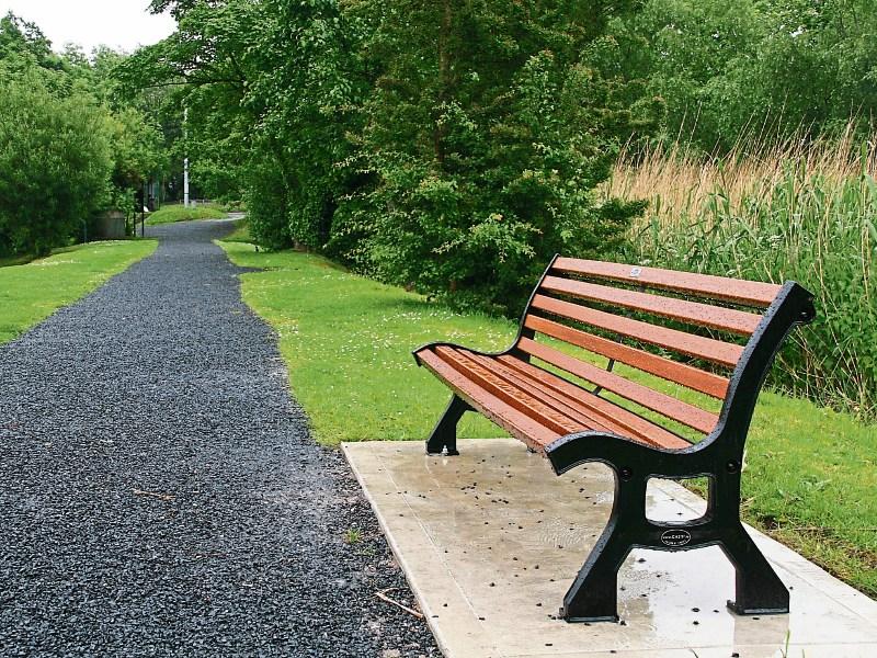 Bench and plaque in memory of late Limerick councillor vandalised