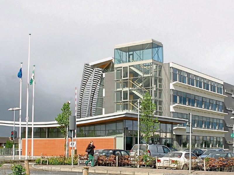 Bizarre tree house dispute in Limerick at 'well-advanced' stage