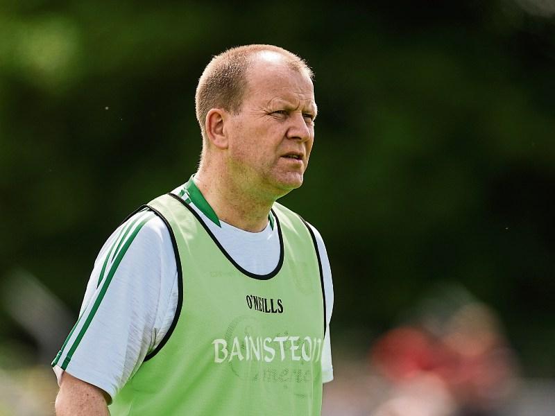 Limerick footballers seek to learn lessons for model display