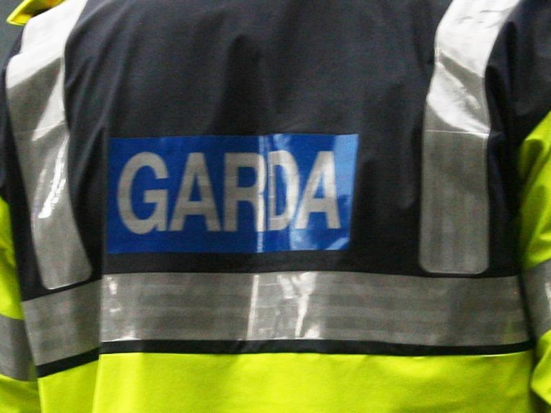 Topless fight woman strikes again in Limerick village