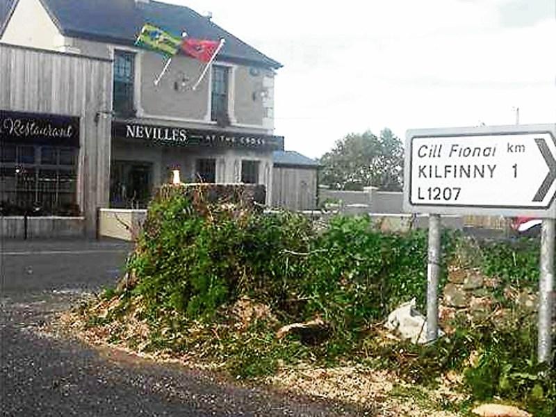 Limerick community mourns 200-year-old tree