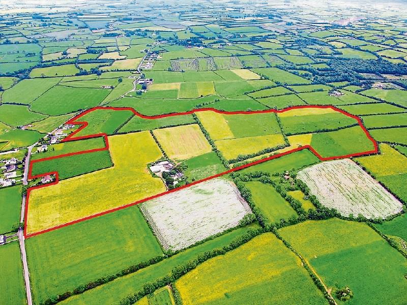 Huge interest in auction of prime Limerick farm