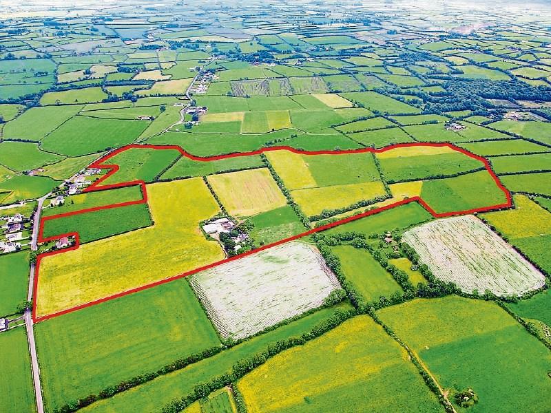 Huge interest in auction of prime Limerick farm - Limerick Live