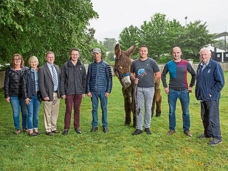 Newcastle West Show continues to be a welcome hardy annual 