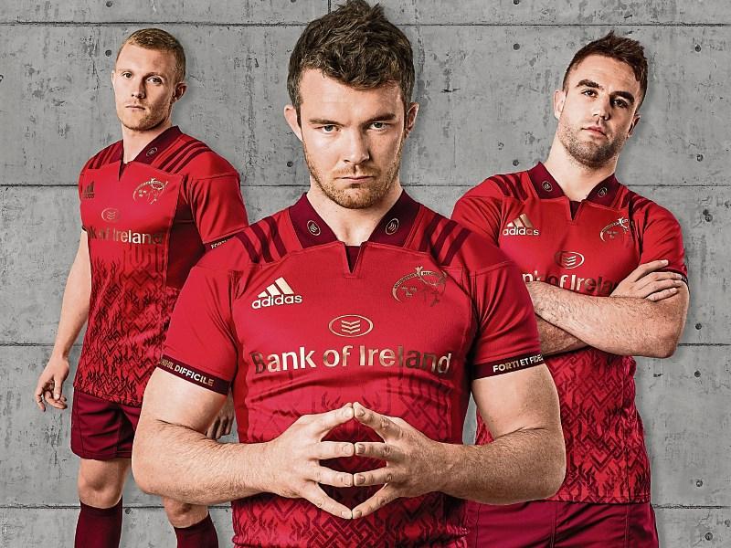 Munster Rugby : Interim coach an option for province