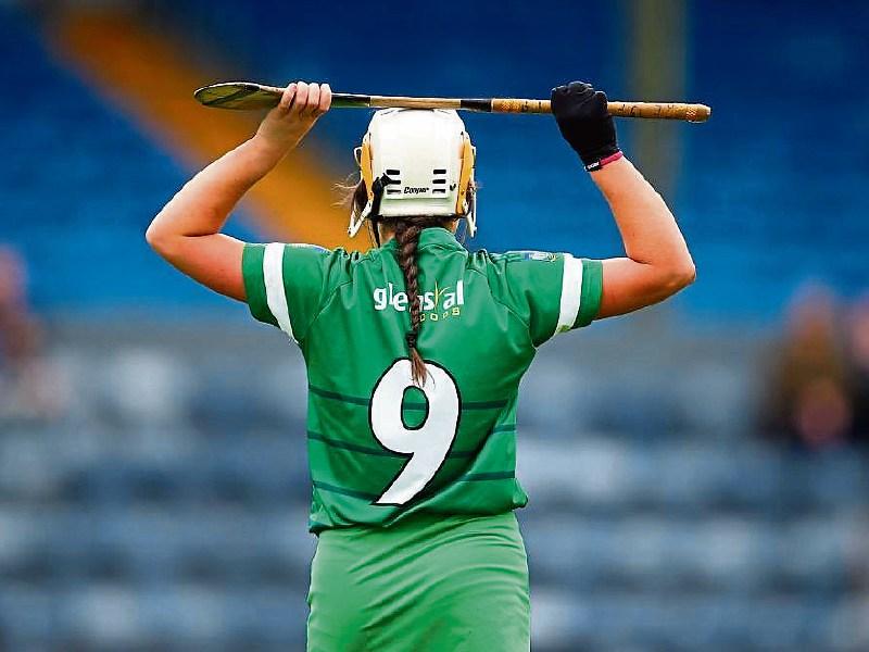 Limerick exit All Ireland Senior Camogie Championship after Wexford defeat