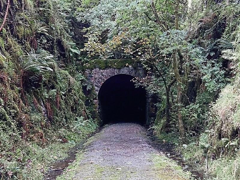 Limerick's Barnagh Tunnel to be reunited with Great Southern Greenway 