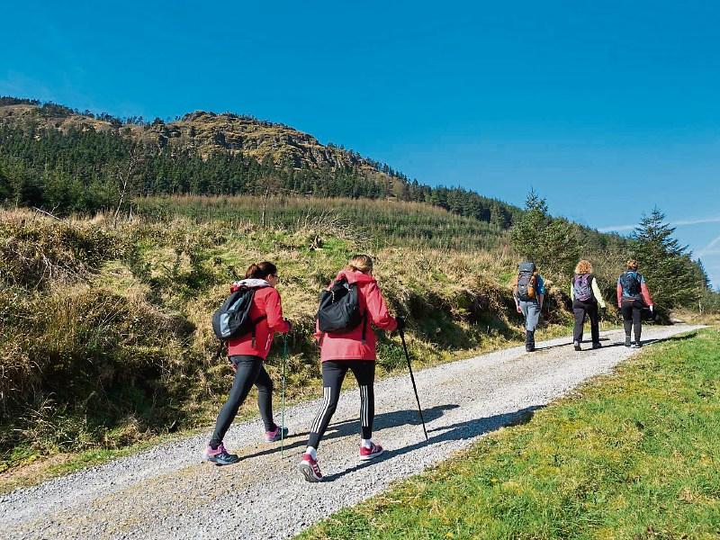 Extensive search operation in Ballyhoura Mountains sees missing couple located