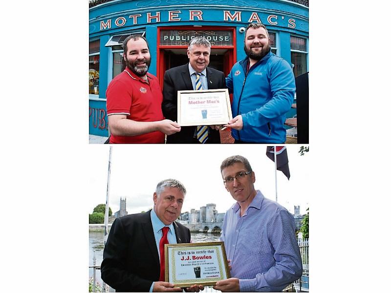 Limerick pubs honoured over Guinness poll success