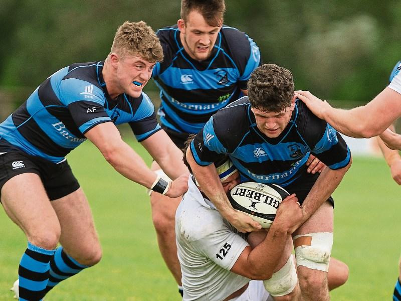 Limerick to have three Munster Senior Cup semi-finalists