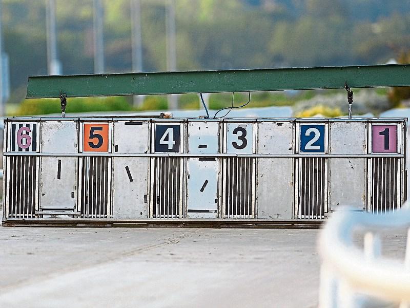 Champion Limerick greyhound tests positive for cocaine