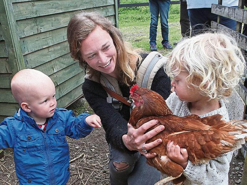 Initiative for those who need support brings huge benefits to Limerick farm families