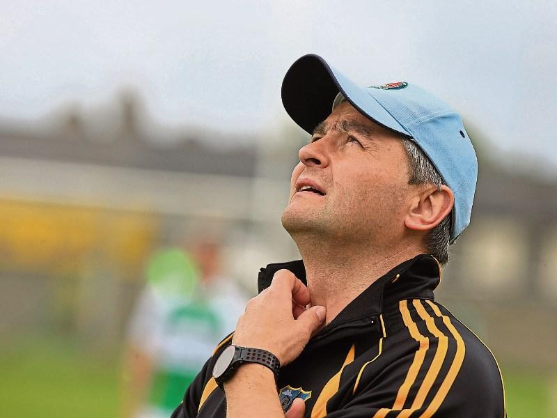 Final four bid for Limerick Premier IHC final places