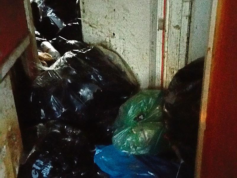 Photographs of the state in which some council houses are left by departing tenants were circulated to councilllors at a meeting of the housing SPC