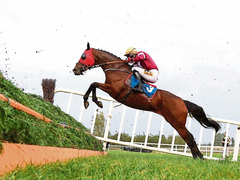 Top class entry for JT McNamara Ladbrokes Munster National at Limerick