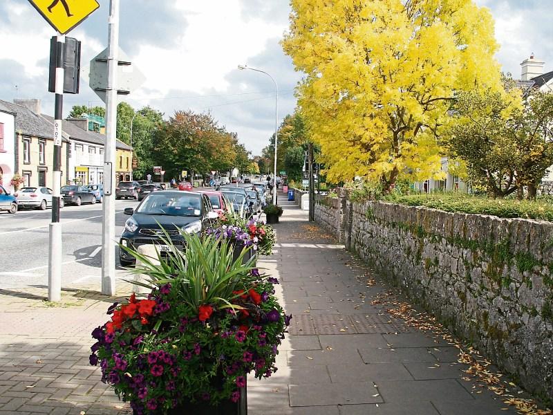 Adare won best in the county as well as a silver award nationally