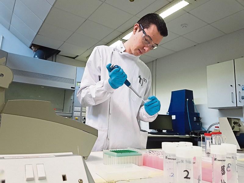 LIT student Jack Hassett, whose studies have revealed the honeybee remains alive and well in Ireland