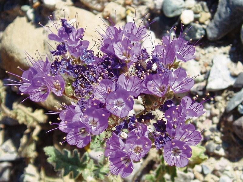 Deaths in Limerick - October 5, 2017