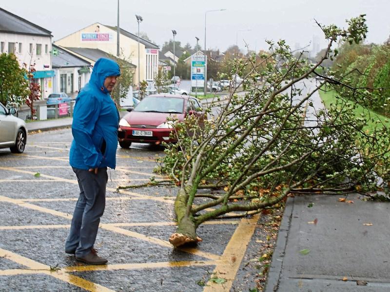 #OPHELIA: Massive Limerick clean-up commences as storm blows over