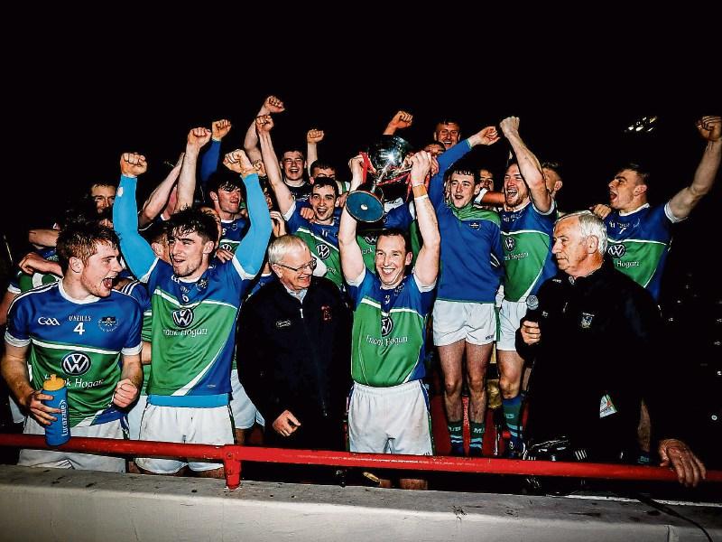 Days after Limerick title Murroe-Boher enter Munster championship