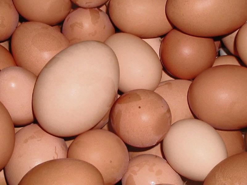 Limerick motorist in near-miss after car pelted with eggs