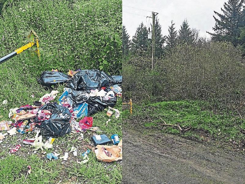 Before and after: The location one km up the hill from Glenstal Abbey, near the main entrance to the Slieve Felim forests  Photo caption