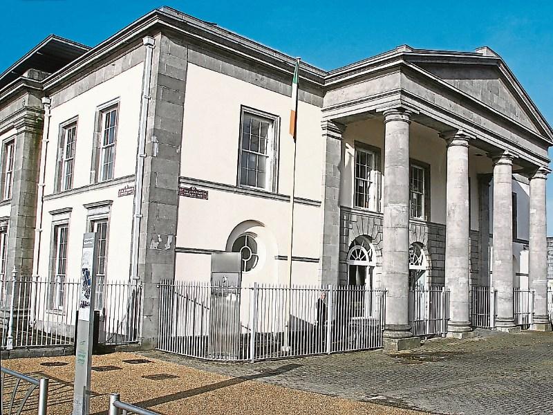 Limerick Circuit Court heard the man deliberately drove at a group of revellers