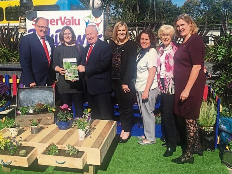 Funding boost for Tidy Towns groups across Limerick