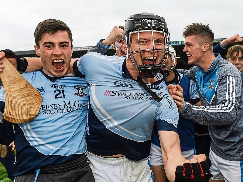 Double vision needed for Na Piarsaigh and Limerick hurlers