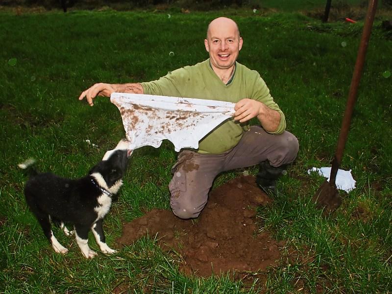 Getting to the bottom of soil testing: Paudie Ryan, Cappamore, buries his underwear - if his sheepdog Floss allows him to that is Picture: Michael Cowhey