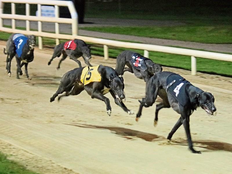 Extra nights of Limerick Greyhound racing this Christmas