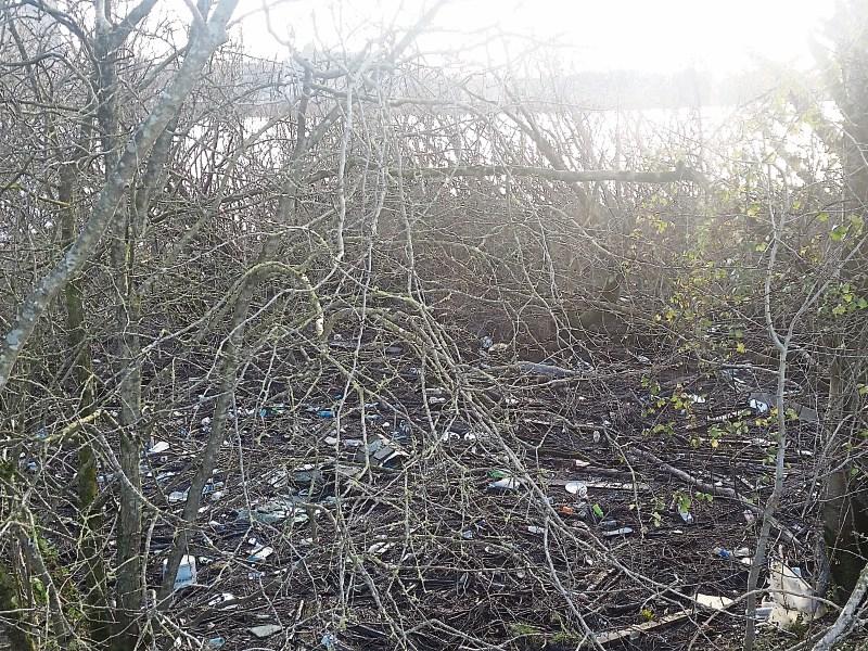 The unsightly litter near the walkway on the Condell Road area  under the Shannon Bridge