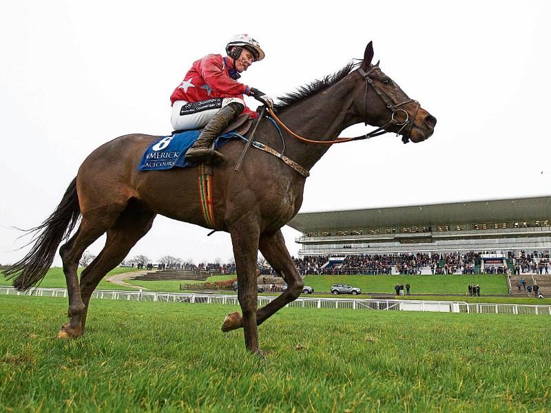 Increased attendance at Limerick Christmas Racing Festival