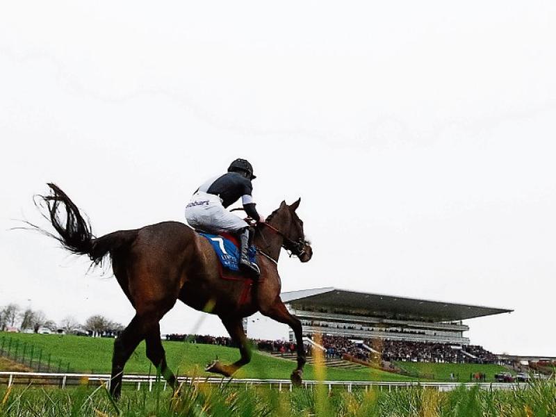Limerick Racecourse stages behind-closed-doors National Hunt card