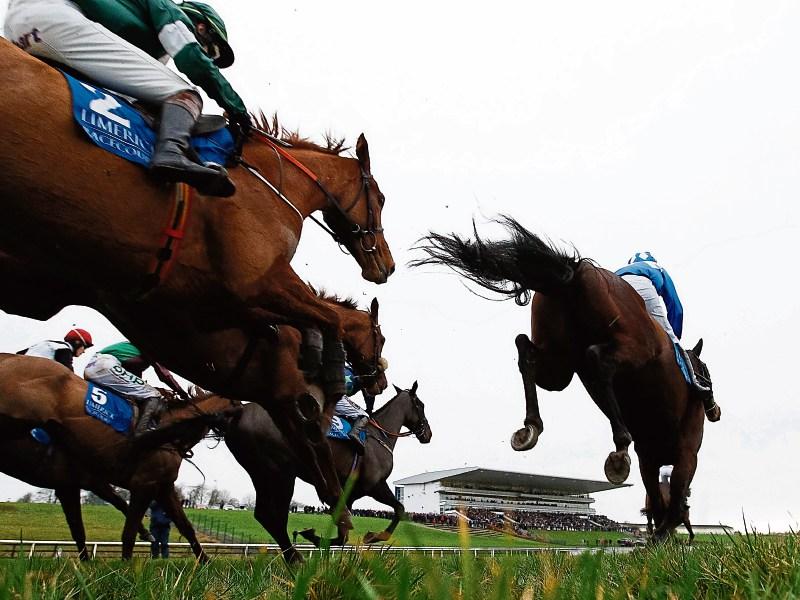 Heavy rain forces cancellation of meeting at Limerick Racecourse