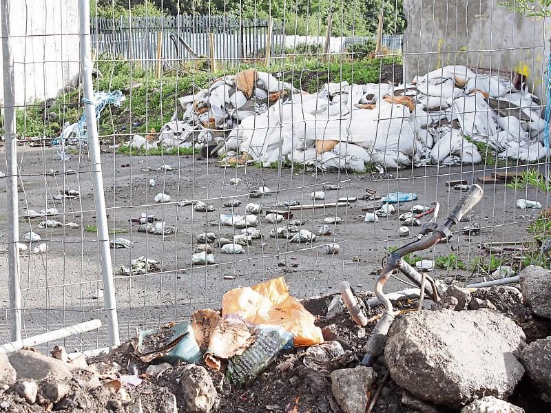 The An Taisce inspectors were severely critical of the Galvone Industrial Estate, and alleged illegal dumping at the back of the park
