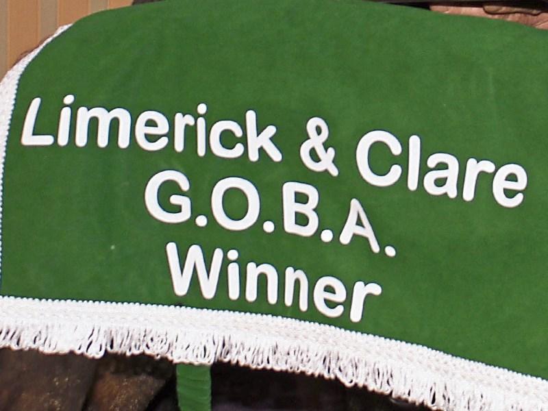 Winners revealed in 2017 Limerick GOBA awards Limerick Live