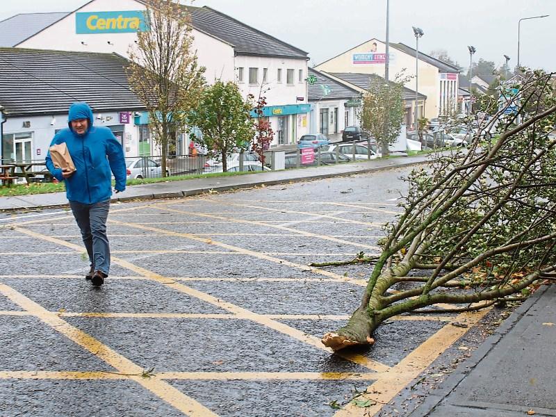Ex-Hurricane Ophelia battered Limerick in October  