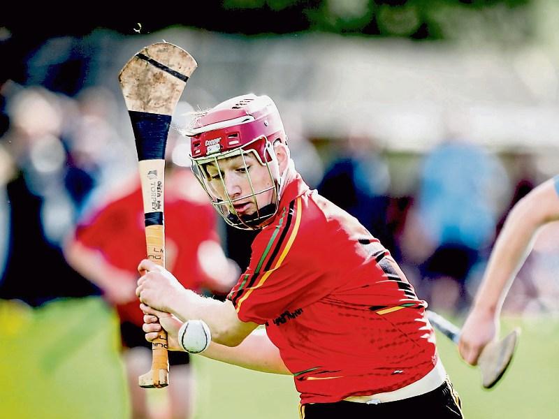 Harty Cup heartbreak for Limerick's Hospital in loss to Templemore