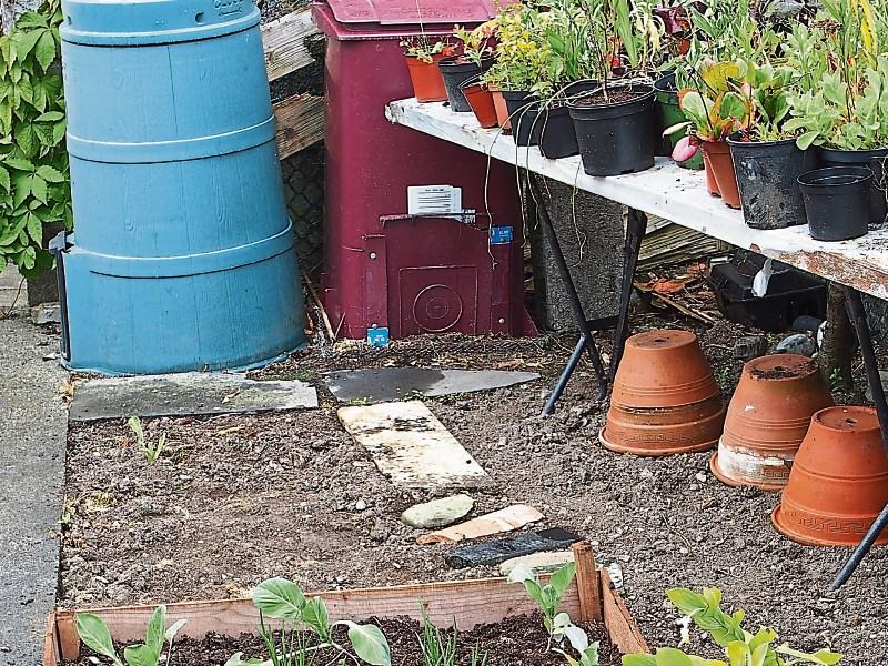 Making your own compost