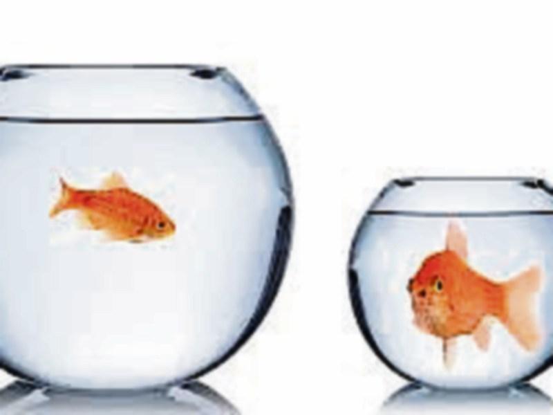 John B Keane: Begrudgers give a great insight into human condition