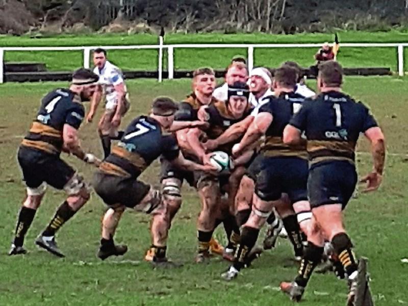 Four vital Limerick wins on dramatic day in Ulster Bank League