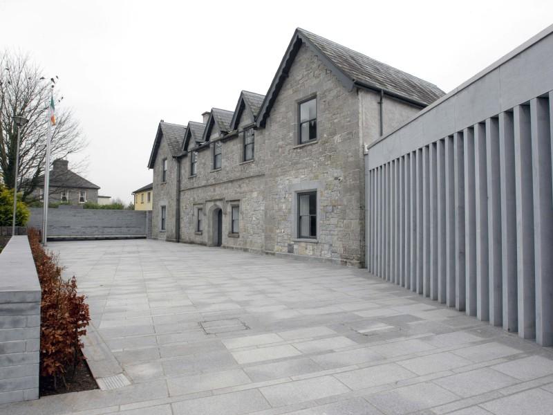 The man was remanded in custody to appear in Kilmallock Court this Friday