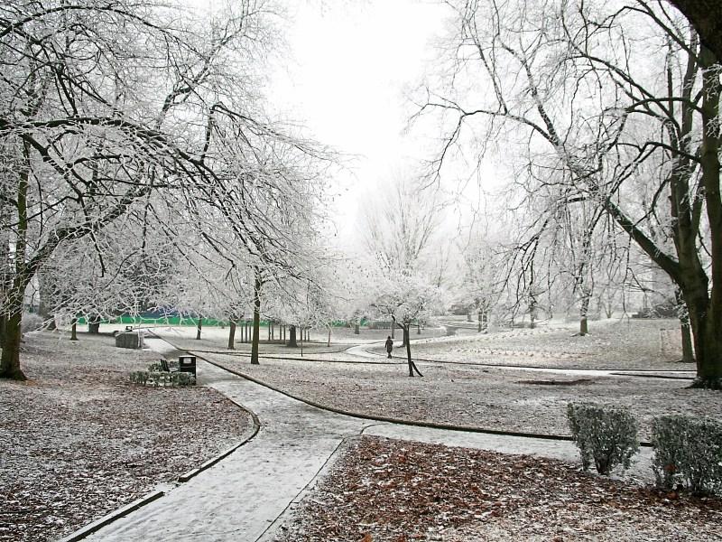 Limerick bracing itself for 'Beast from the East'