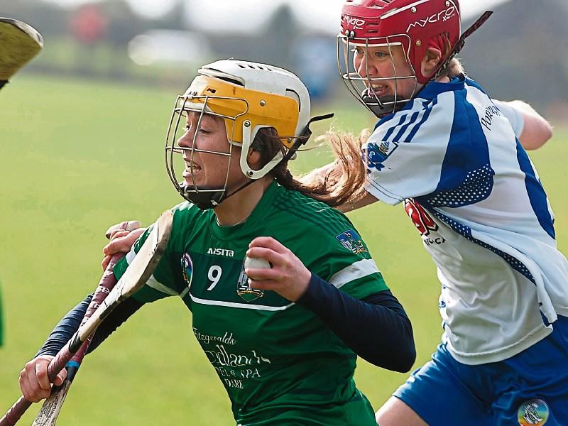 WATCH: Limerick book camogie league semi-final place after nail-biting draw with Waterford