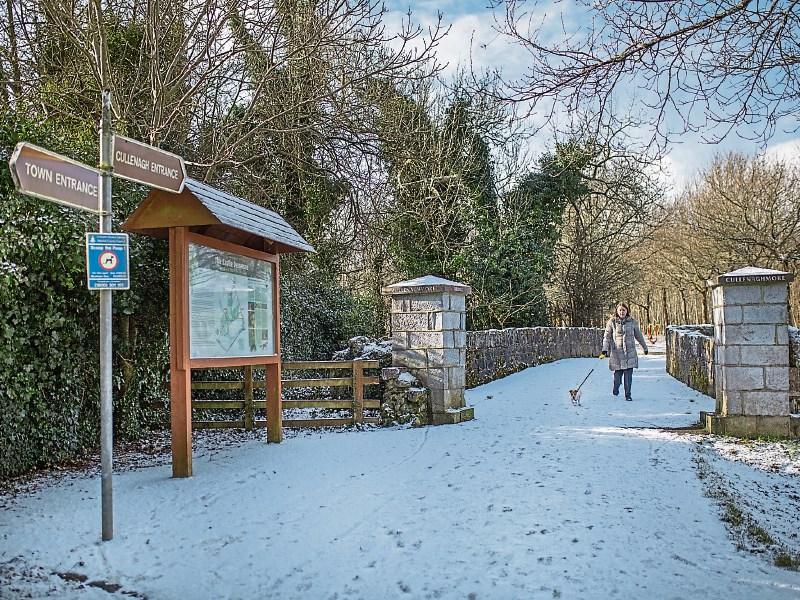 All schools to remain closed as Limerick braces itself for blizzard-type conditions