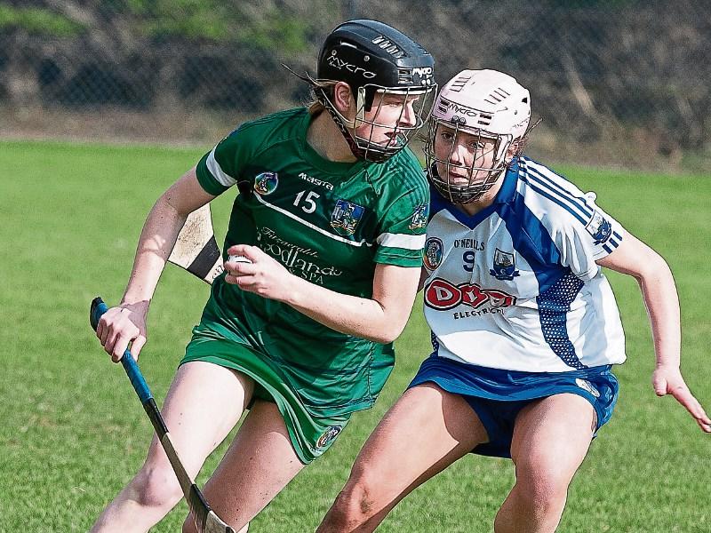 Limerick star nominated for February Camogie Player of the Month award