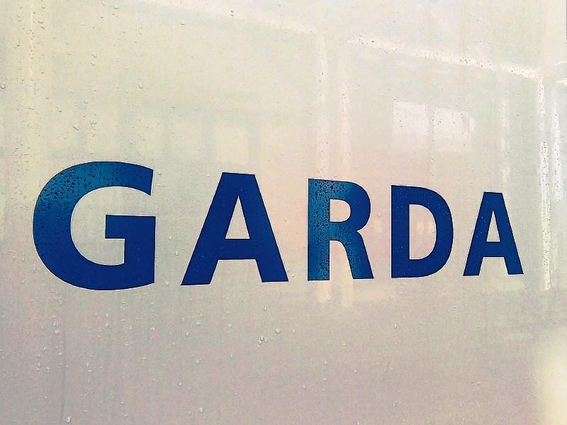 Driver who reversed away from Limerick garda checkpoint was disqualified