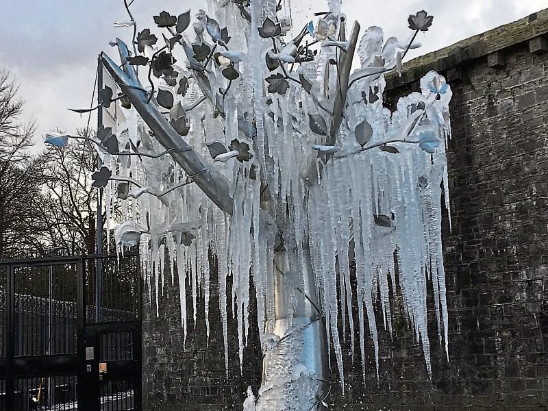 The frozen tree of life -water fountain- inside the railings of Limerick Prison on Mulgrave Street Picture: Jude Molloy