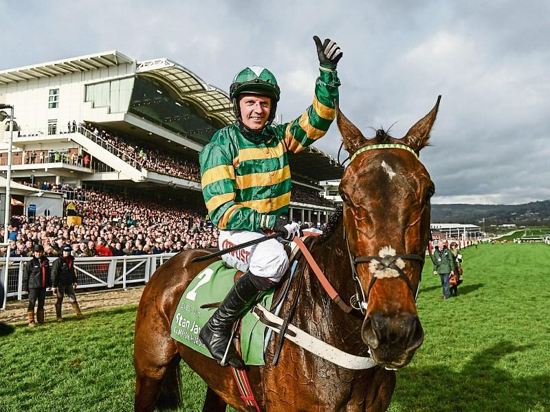 JP McManus and Enda Bolger chase big race glory at Cheltenham 